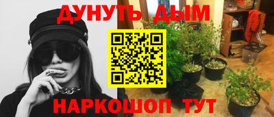 мескалин Кингисепп